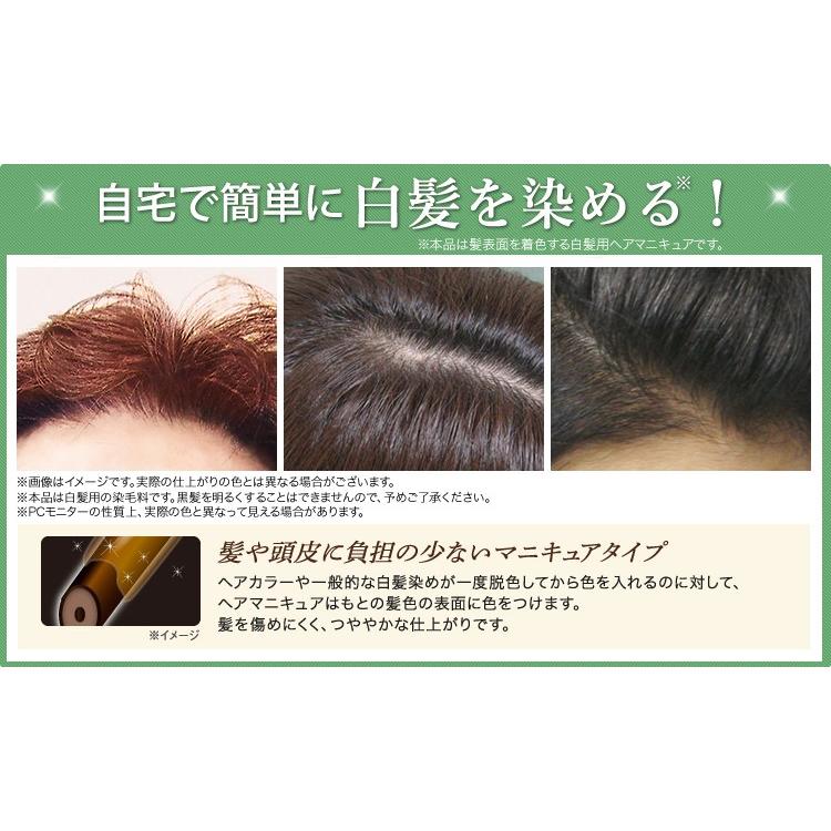利尻 利尻ヘアカラートリートメント ダークブラウン 200g【通常 利尻 利尻ヘアカラートリートメント ダークブラウン 200g【通常
