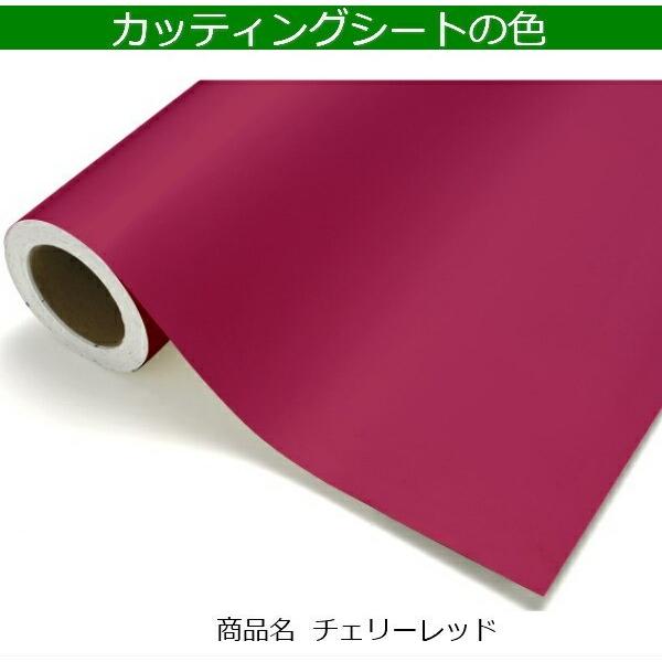 カッティングシート リフォームシート 装飾フィルム リメイクシート ガラス 窓 表札 名前 壁紙 防水 チェリーレッド 屋外 鏡 シール ステッカー 看板 vr01031 |  | 05