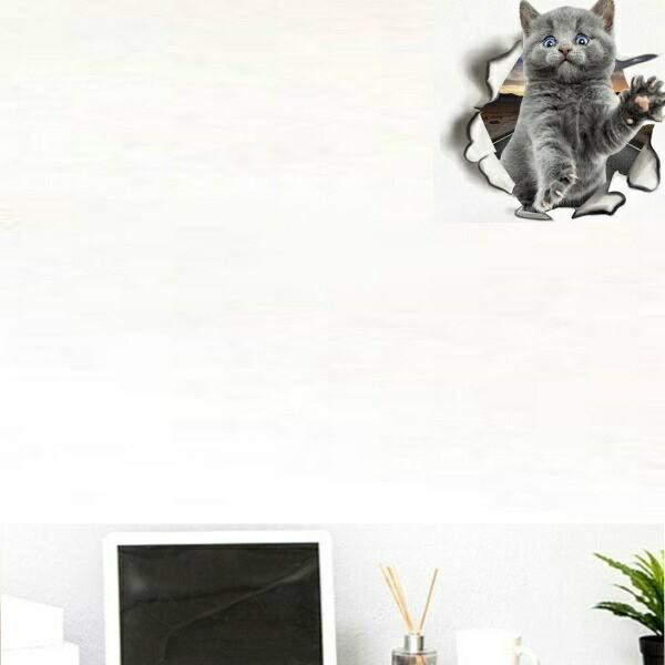 ウォールステッカー ねこ 猫 動物 おしゃれ 黒猫 三毛猫 ネコ 子供部屋 シール かわいい お手洗い Cat 肉球 インテリア 壁紙 雑貨 トイレ用 タンク 壁面 Vr Vr Value Deco Park 通販 Yahoo ショッピング