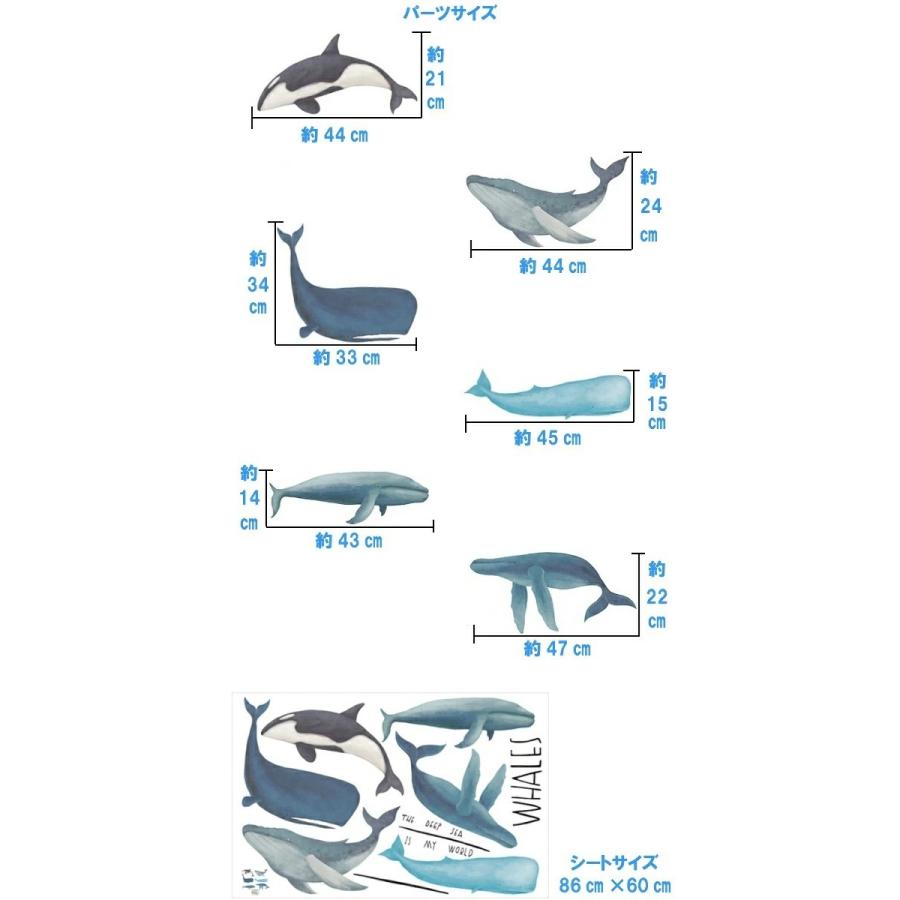 ウォールステッカー 動物 おしゃれ 子供部屋 クジラ 海 鯨 くじら 女の子 男の子 シャチ お風呂 ステッカー かわいい 子ども 窓 知育 海中 海底 水族館 Vr Vr Value Deco Park 通販 Yahoo ショッピング