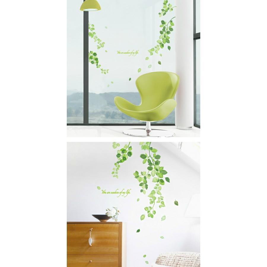 驚きの価格 ウォールステッカー 植物 おしゃれ 木 花 アイビー 北欧 緑のつた グリーン リーフ かわいい ステッカー カフェ 綺麗な色 葉 モダン 緑 窓 高級感 Vr Aynaelda Com