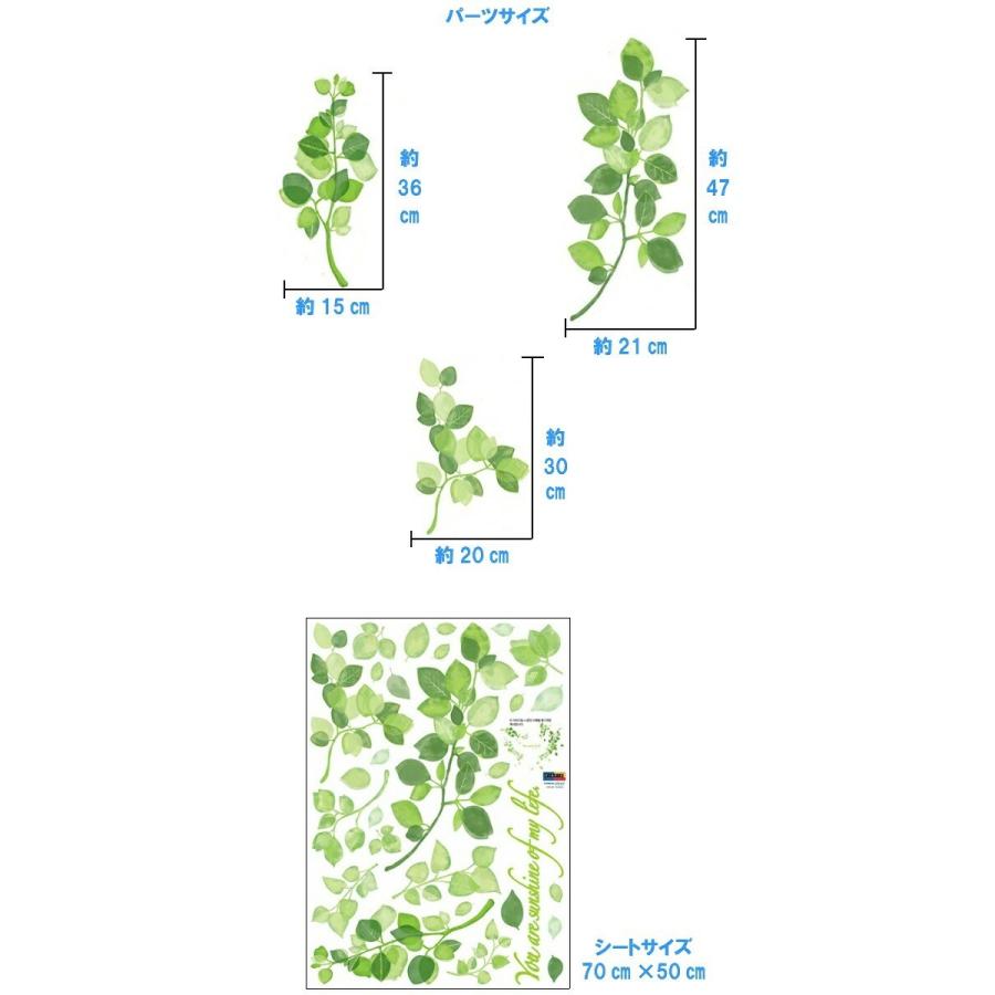 驚きの価格 ウォールステッカー 植物 おしゃれ 木 花 アイビー 北欧 緑のつた グリーン リーフ かわいい ステッカー カフェ 綺麗な色 葉 モダン 緑 窓 高級感 Vr Aynaelda Com