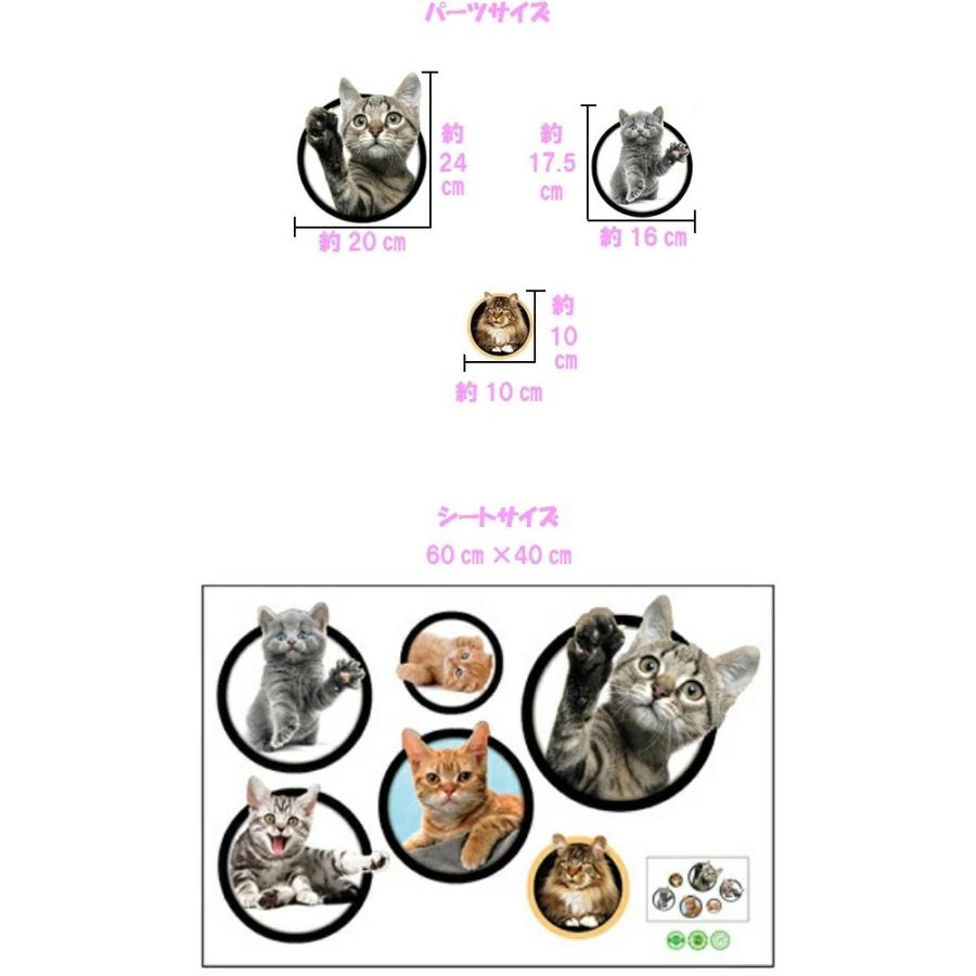 ウォールステッカー 猫 ねこ 動物 ネコ おしゃれ キャット アニマル ウォールシール 黒猫 三毛猫 シール 3d 猫好き かわいい 壁穴 インテリア 壁紙 Vr0850 Vr0850 Value Deco Park 通販 Yahoo ショッピング