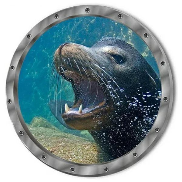 ウォールステッカー 動物 窓 海 アザラシ 壁紙 南国 ウォールシール おしゃれ オットセイ イルカ シール 海中 海底 ビーチ かわいい Diy マリン お風呂 Vr0871 Vr0871 Value Deco Park 通販 Yahoo ショッピング