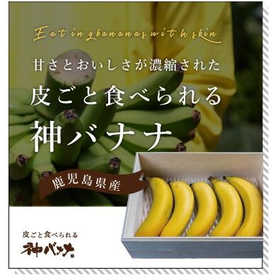 神バナナ 皮ごと食べられる国産無農薬バナナ ５本セット Kamibanana5 Valueee ショップ 通販 Yahoo ショッピング