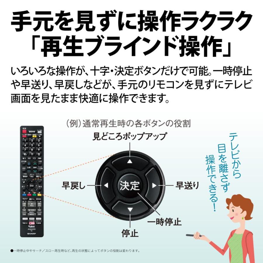 シャープ 1TB 3チューナー AQUOS ブルーレイレコーダー 2B-C10ET1 