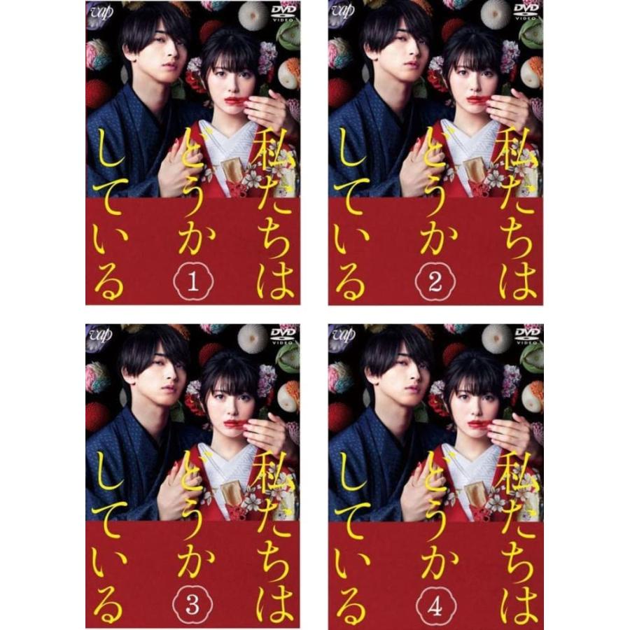 私たちはどうかしている 全4枚 レンタル落ち 全巻セット 中古 DVD 
