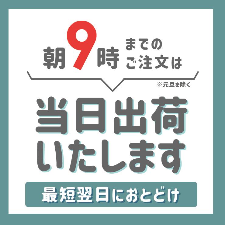 忍者ハットリくん リターンズ 全5枚 第1話〜第26話 レンタル落ち 全巻セット 中古 DVD アニメ｜valuemarket｜09