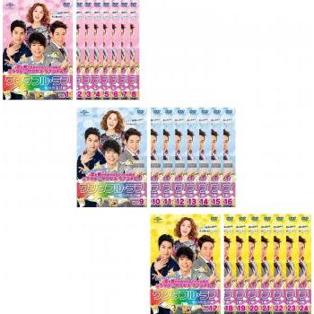ワンダフル・ラブ 愛の改造計画(24枚セット)第1話〜第48話 最終【字幕