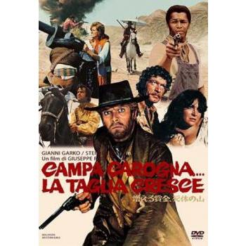 西部劇 人気作品 11本 死の砦 王家の谷 シ マロン 他 レンタル落ち DVD 西部劇 人気作品 11本 死の砦 王家の谷 シマロン 他 レンタル落ち DVD