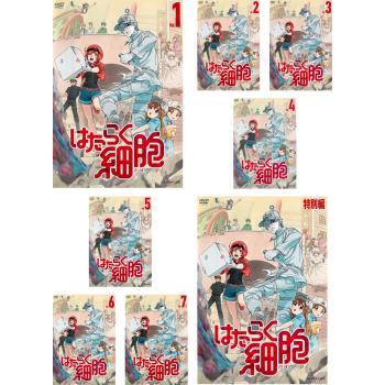 はたらく細胞 全8枚 全7巻 + 特別編 レンタル落ち 全巻セット DVD