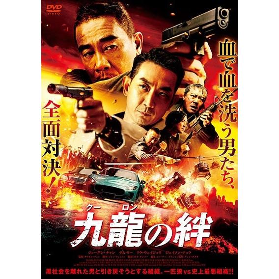 激安！レンタル落ちDVD29作品まとめ売り 激安！レンタル落ちDVD29作品まとめ売り