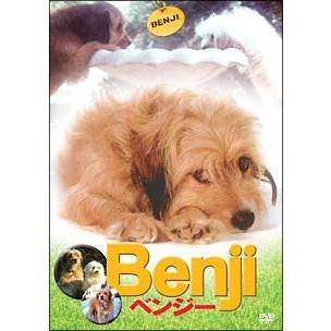 中古】 ベンジー [レンタル落ち] [DVD] : Value Market - 通販 - Yahoo