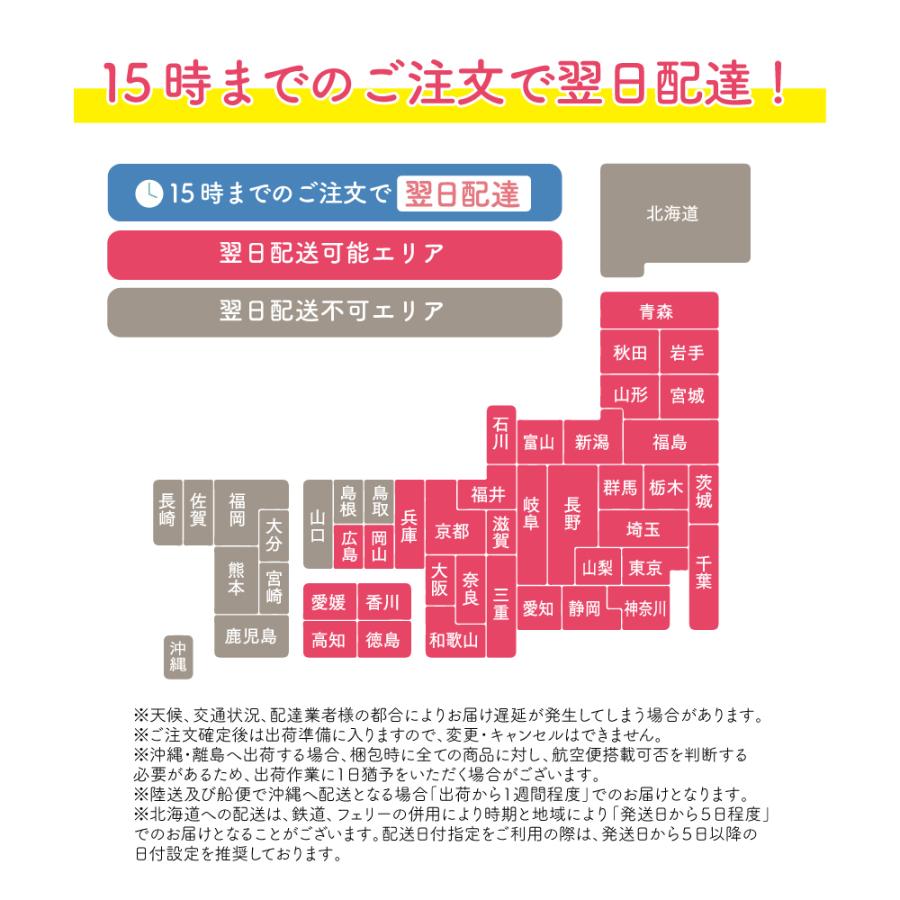 バスボム ギフトラッピング対応 安心の国内検査実施済み 12個セット 入浴剤 プレゼント 贈り物 オシャレ 子供 彼女 ギフトBOX付 | ブランド登録なし | 22