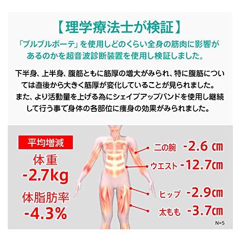 乗ってるだけブルブルボーテ ホワイトミント 【公式通販】