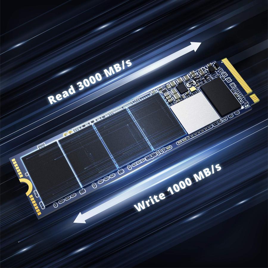 小物などお買い得な福袋 Pioneer 256GB NVMe SSD PCIe M.2 2280 Gen 3x4 TLC Internal High Speed Read/Write up to 3100/1000MB/s Solid State Drive， 300 TBW， PC Laptop Compatible (