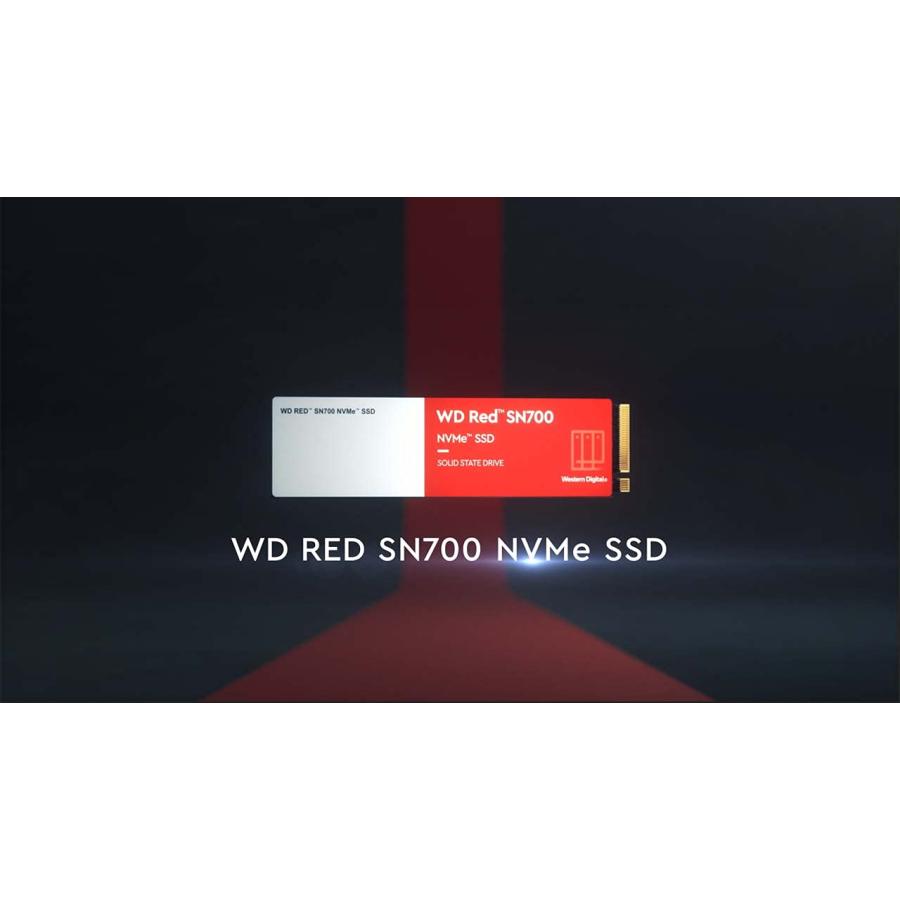 Western Digital 4TB WD Red SN700 NVMe Internal Solid State Drive 