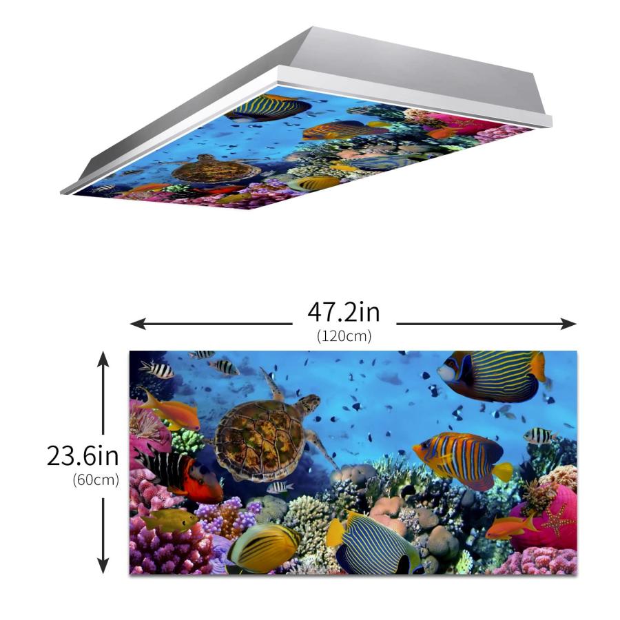 The Underwater World 2ft x 4ft Drop Ceiling Fluorescent Decorative Light Cover - Colorful Fishes Coral Reef Sea Turtle - Skylight Film Filter Eliminat｜valueselection｜03
