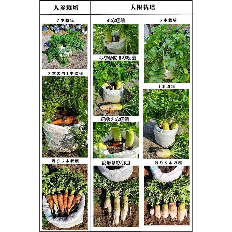 当店の記念日 メッシュ栽培袋uv白pe１０枚 編物プランター 家庭菜園 野菜栽培 花つくり 通気性 水はけ良好 網目から根に酸素吸収 根の成長に特化 根張 植木鉢 Www We Job Com