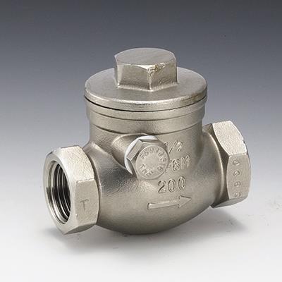 Amazon.co.jp: フローバル チャッキバルブ スイングチャッキ VSC