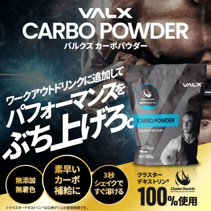 VALX 【VALX CARBO POWDER】カーボパウダー 安心の国内製造