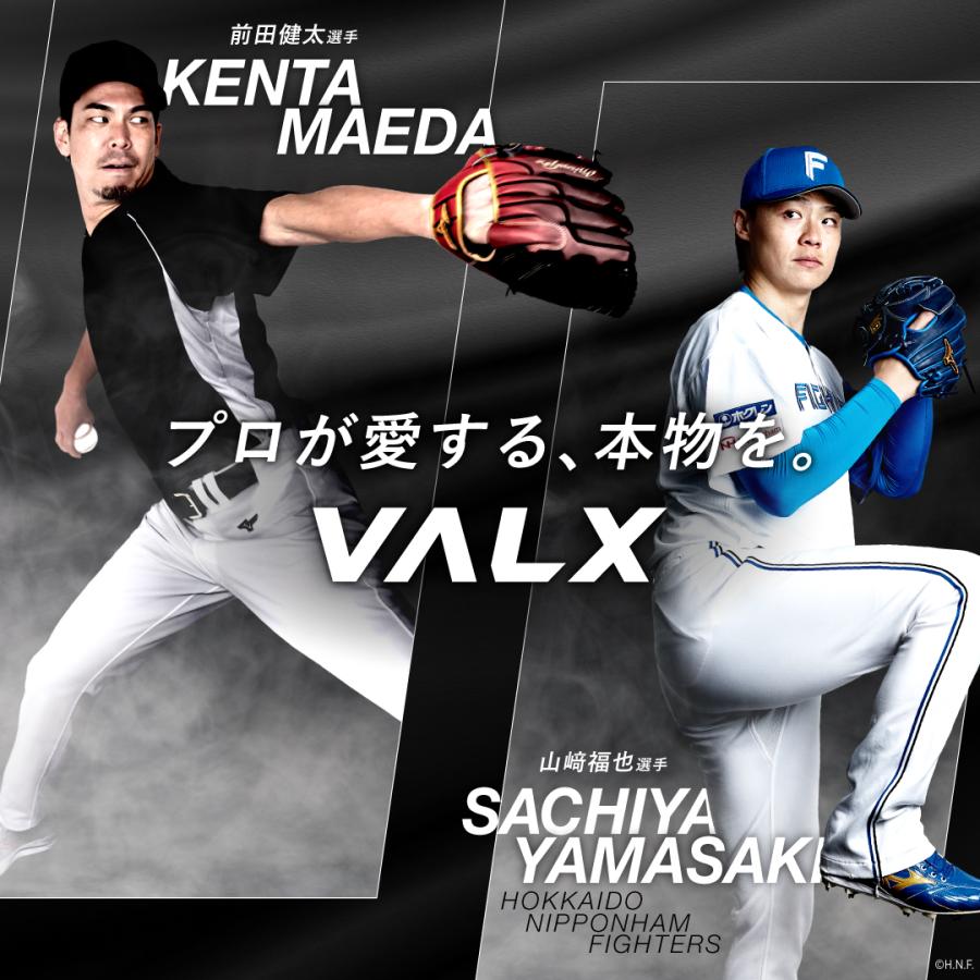 VALX（バルクス） 【公式】VALX EAA9 山本義徳 EAA アンチドーピング
