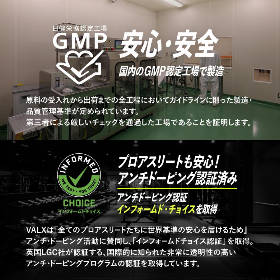 VALX（バルクス） 【公式】VALX EAA9 山本義徳 EAA アンチドーピング