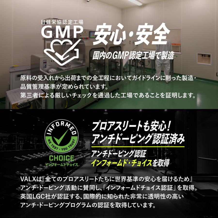 VALX（バルクス） 【公式】VALX EAA9 山本義徳 EAA アンチドーピング