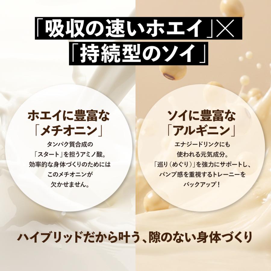 VALX（バルクス） 【予約販売 ※7/31以降順次発送】VALX ハイブリッド 