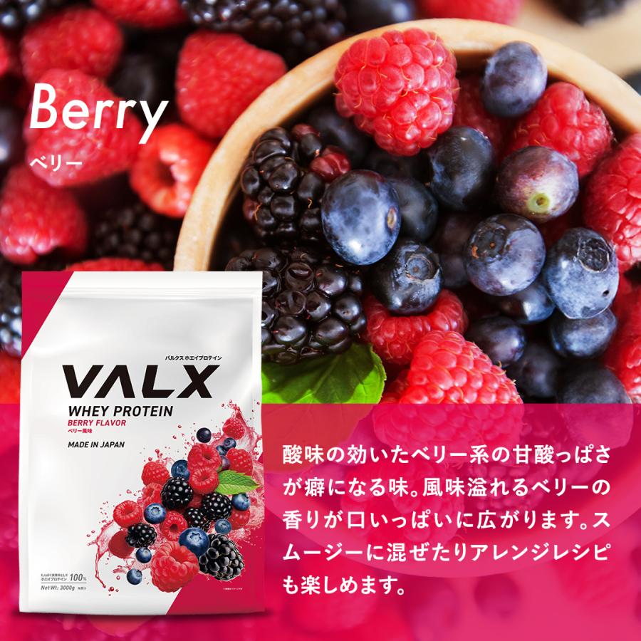VALX バルクス ホエイプロテイン WPC 大容量 山本義徳 3kg 女性