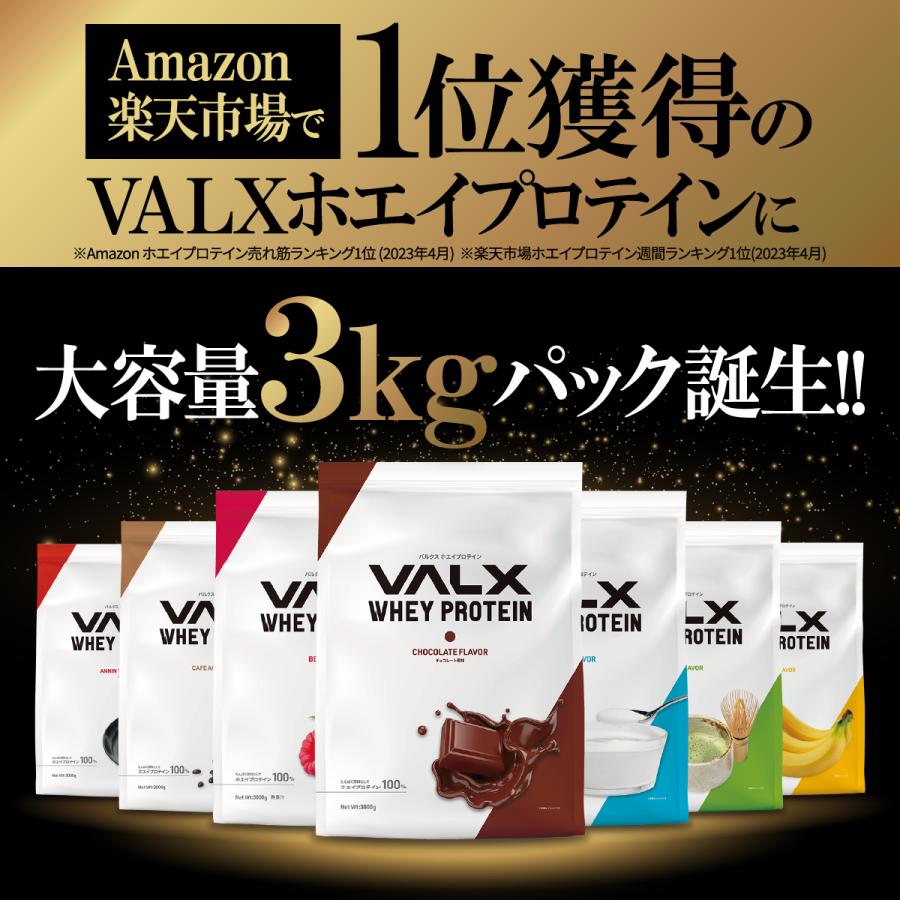 VALX バルクス ホエイプロテイン WPC 大容量 山本義徳 3kg 女性 男性｜valx｜10