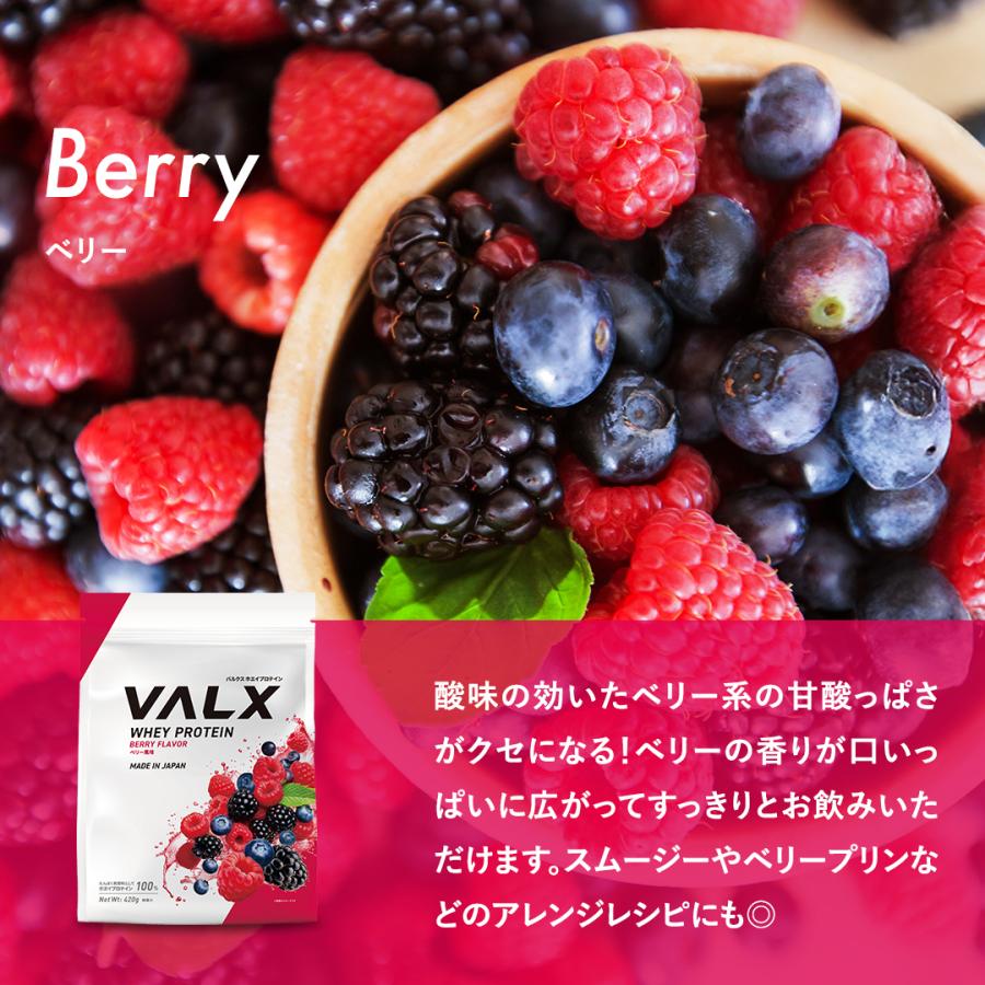 VALX（バルクス） ホエイプロテイン WPC 低容量 山本義徳 420g 女性