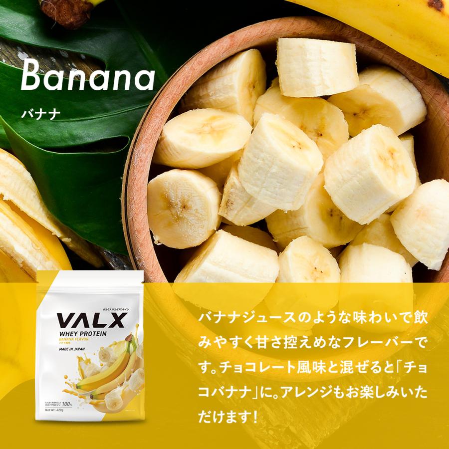 VALX（バルクス） ホエイプロテイン WPC 低容量 山本義徳 420g 女性