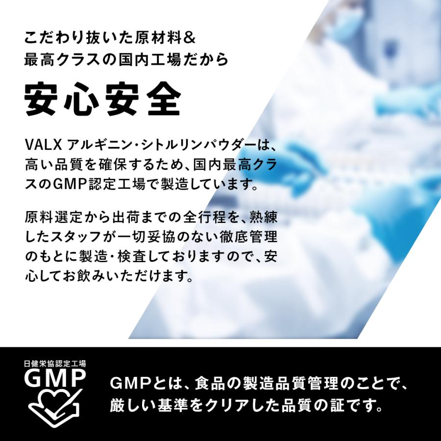 【VALX アルギニン・シトルリンパウダー】アセロラ風味 ブラッドオレンジ風味 ブルーベリーカシス風味 山本義徳 240g プレワークアウト バルクス | VALX | 13