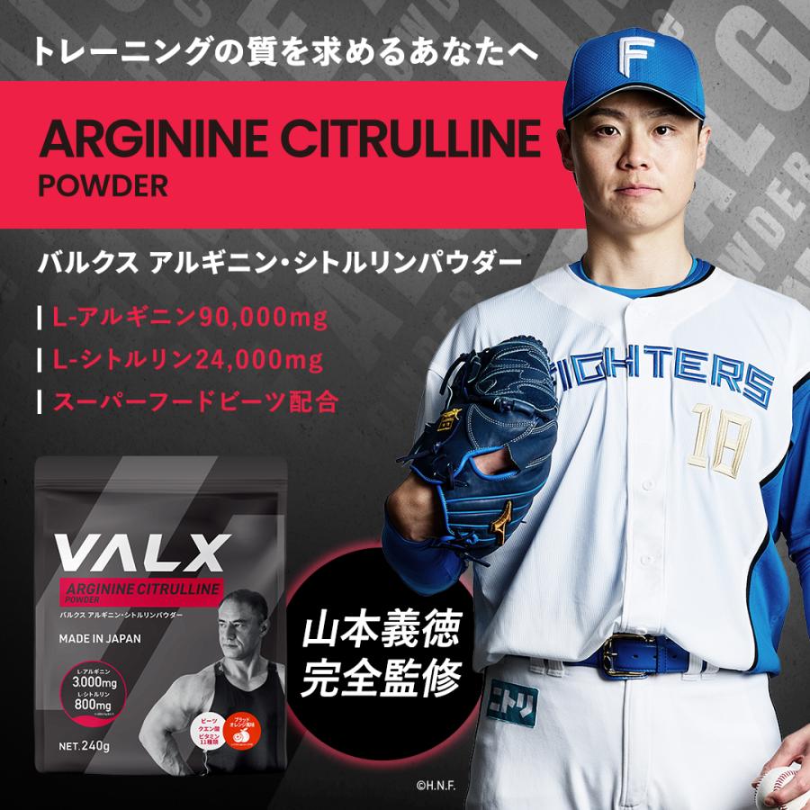 【VALX アルギニン・シトルリンパウダー】アセロラ風味 ブラッドオレンジ風味 ブルーベリーカシス風味 山本義徳 240g プレワークアウト バルクス | VALX | 05