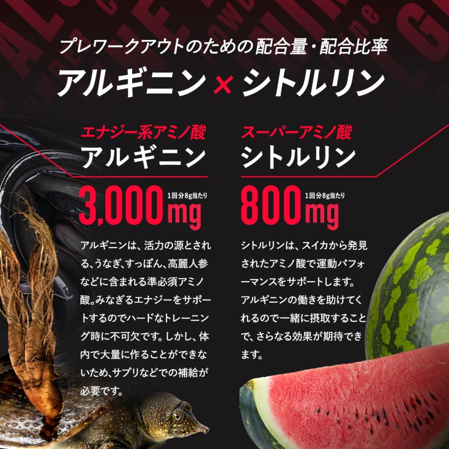 【VALX アルギニン・シトルリンパウダー】アセロラ風味 ブラッドオレンジ風味 ブルーベリーカシス風味 山本義徳 240g プレワークアウト バルクス | VALX | 06