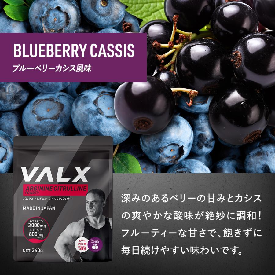 【VALX アルギニン・シトルリンパウダー】アセロラ風味 ブラッドオレンジ風味 ブルーベリーカシス風味 山本義徳 240g プレワークアウト バルクス | VALX | 11