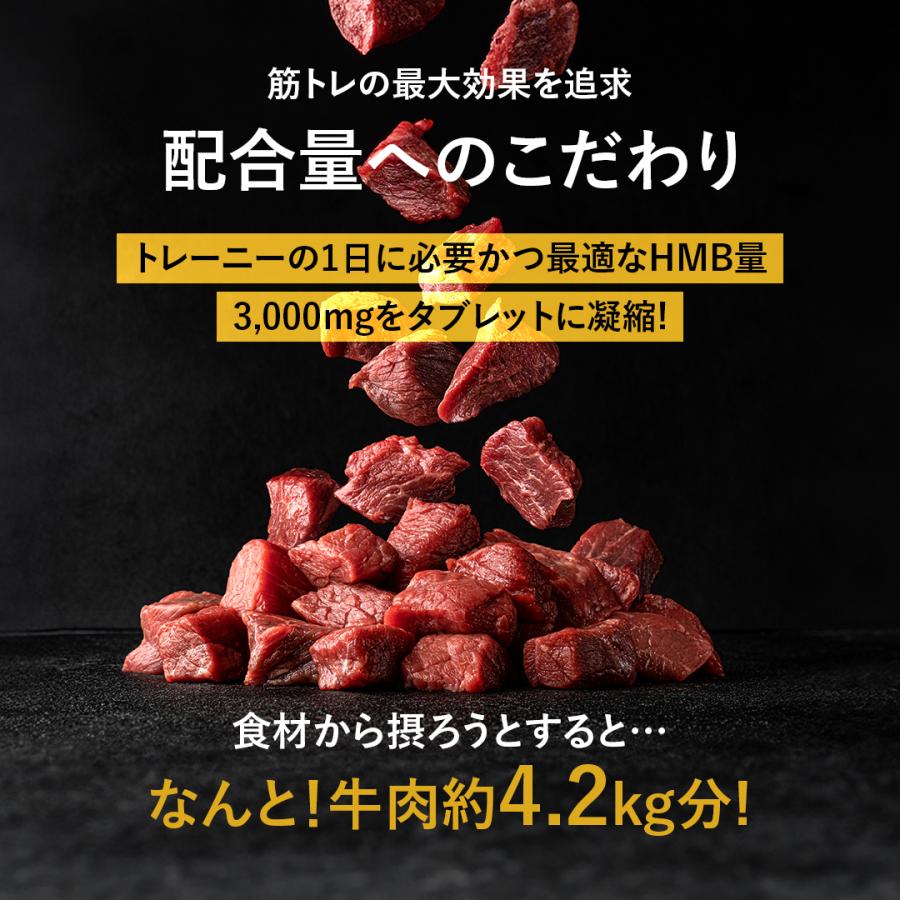 ＨＭＢ・５００g　純度１００％！【筋トレ・ダイエット】最強最高サプリ HMB サプリ ダイエット スリム 大容量 約6ヶ月分 BCAA アルギニン L