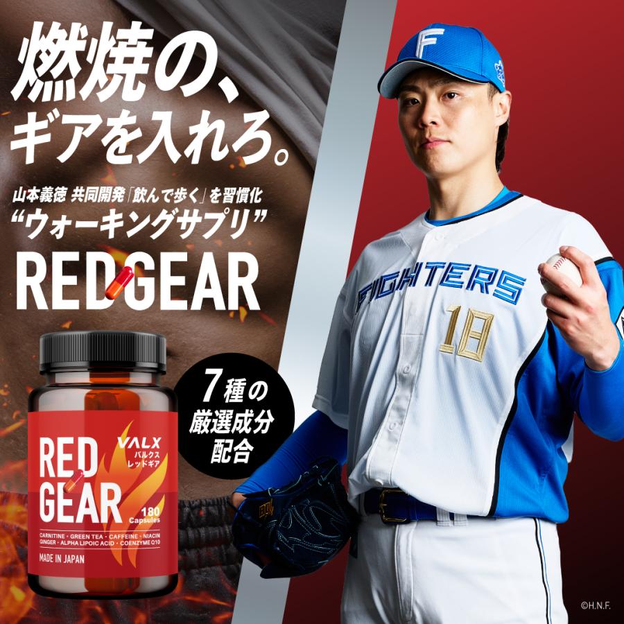 VALX（バルクス） 【VALX RED GEAR】燃焼系 サプリ カルニチン 安心