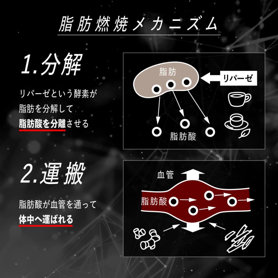 VALX 【VALX RED GEAR】燃焼系 サプリ カルニチン 安心 安全 VALX 【VALX RED GEAR】燃焼系 サプリ カルニチン 安心 安全