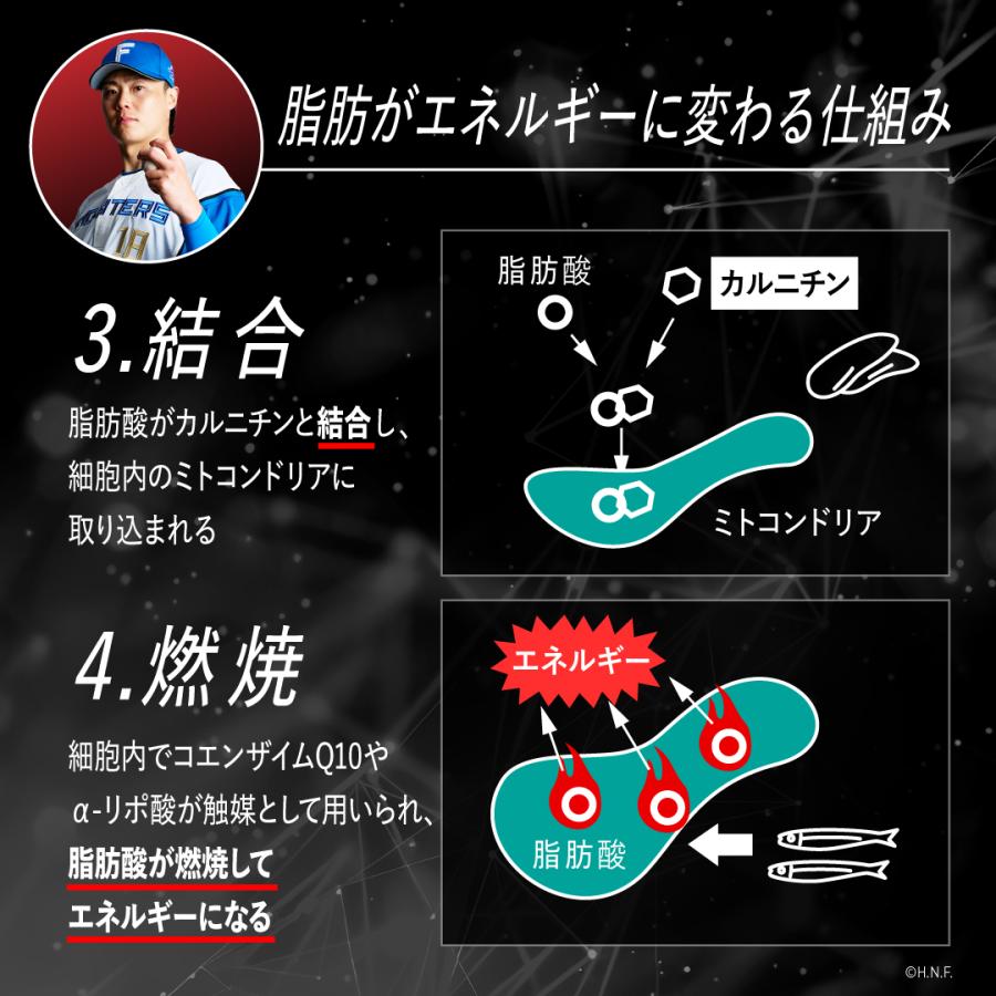 VALX（バルクス） 【VALX RED GEAR】燃焼系 サプリ カルニチン 安心