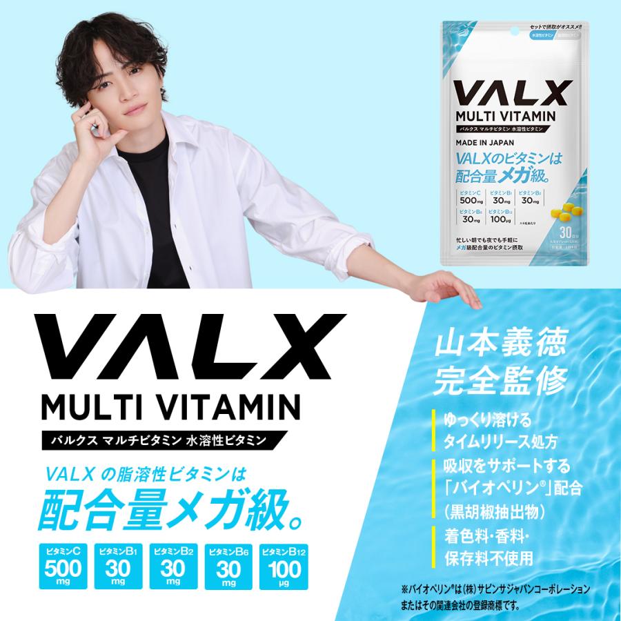 VALX（バルクス） マルチビタミン 水溶性ビタミン サプリメント サプリ