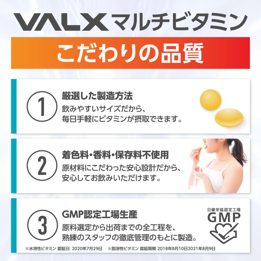 VALX マルチビタミン 水溶性ビタミン サプリメント サプリ マルチビタミン 水溶性 ビタミンB ビタミンC｜valx｜06
