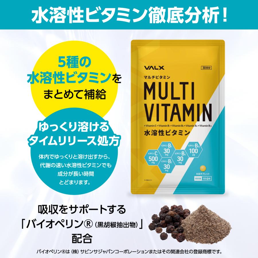VALX（バルクス） マルチビタミン水溶性ビタミン＆脂溶性ビタミン