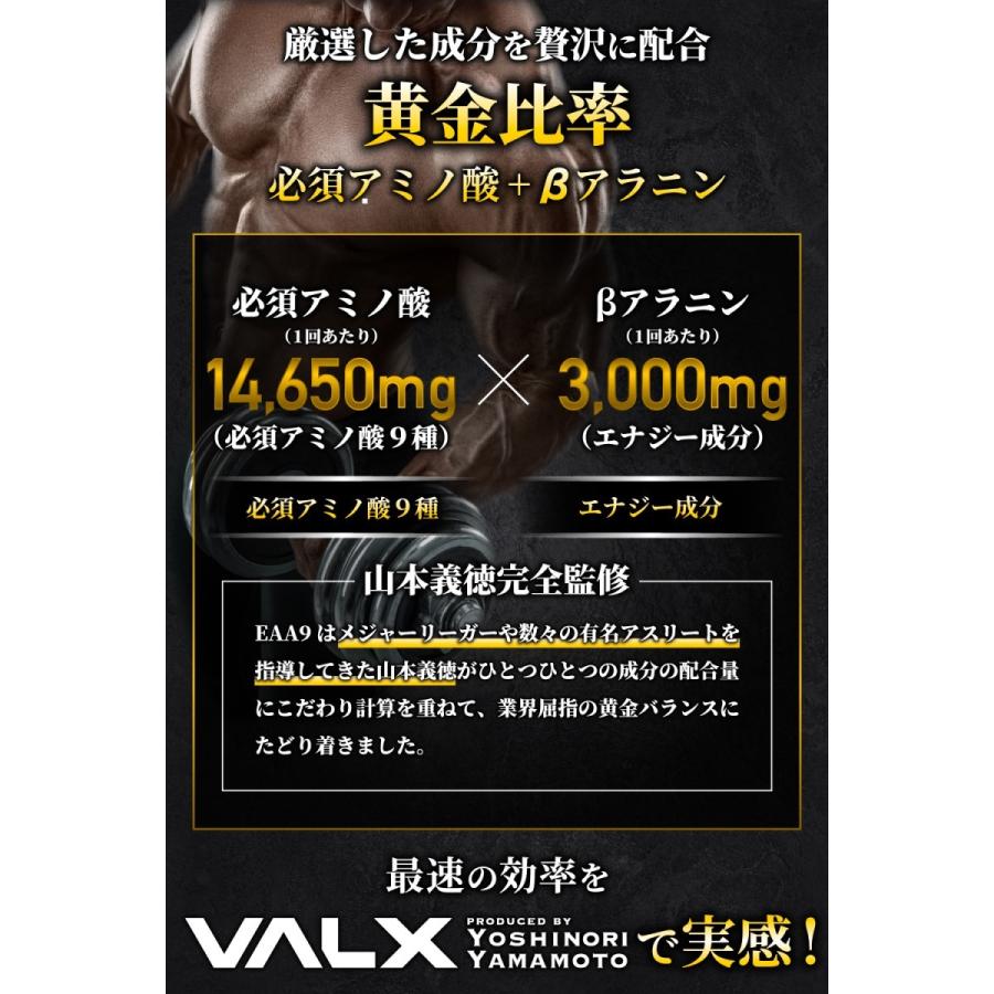2個セット】VALX (バルクス) EAA9 山本義徳 プロデュース シトラス風味 