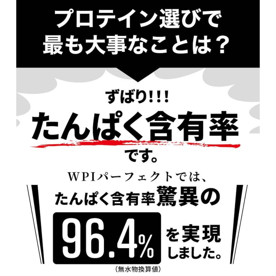 Valx バルクス ホエイプロテイン Wpi パーフェクト 山本義徳 監修 甘味料不使用 1kg 筋トレ 新作 人気 プレーン プロテイン アイソレート