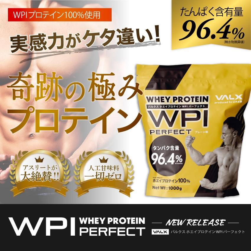 VALX (バルクス) ホエイプロテイン WPI パーフェクト 山本義徳 監修 プロテイン 1kg アイソレート プレーン 甘味料不使用 筋トレ｜valx｜03