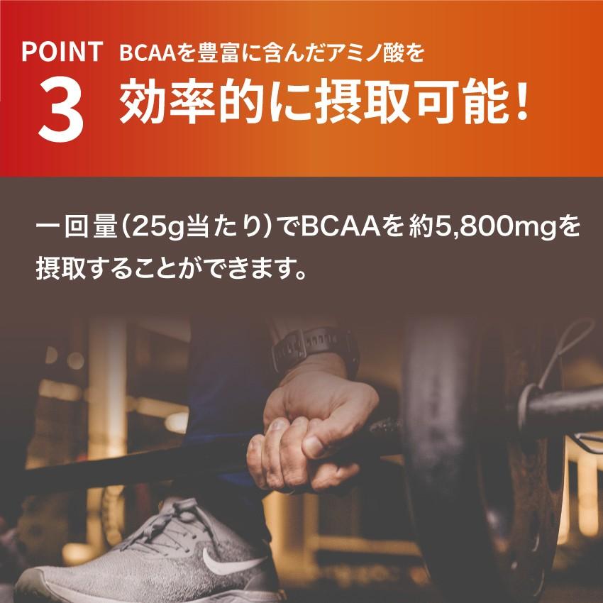 Valx バルクス ホエイプロテイン Wpi 超特価sale開催 パーフェクト 山本義徳 監修 アイソレート プロテイン 1kg 筋トレ 甘味料不使用 プレーン