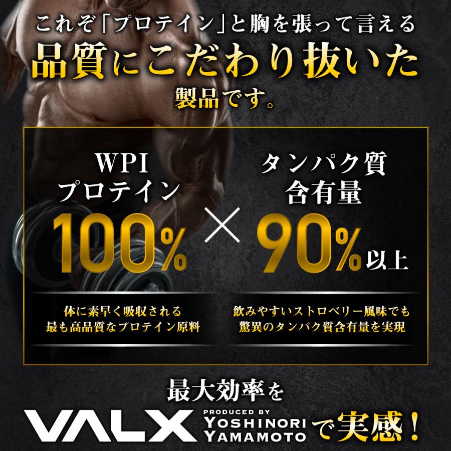 Valx 価格 交渉 送料無料 バルクス ホエイプロテイン Wpi パーフェクト 山本義徳 ストロベリー風味 1000g 筋トレ プロテイン アイソレート
