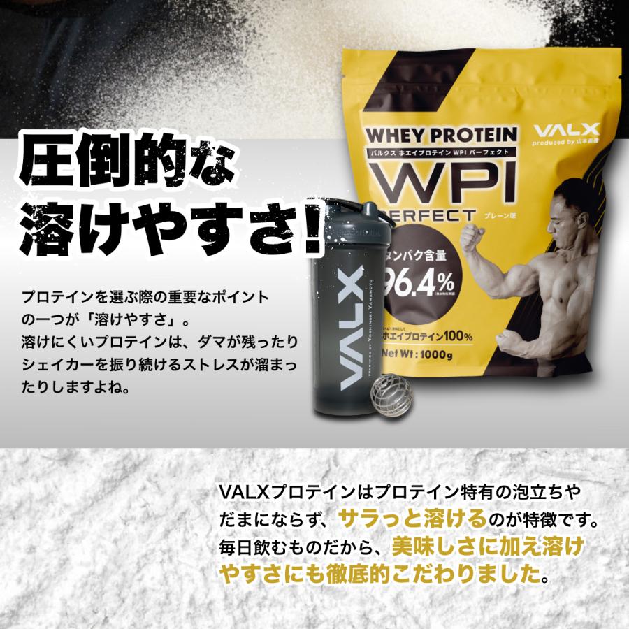 VALX ホエイプロテイン WPI パーフェクト 抹茶風味X3 その他 